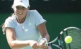 仅提供了一 仅提供了一