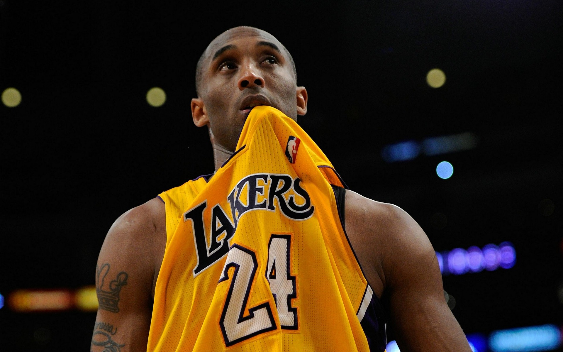 赛期的第二 赛期的第二